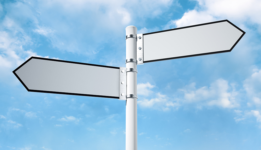 Blank signposts pointing in opposite directions with cloudy blue sky in background